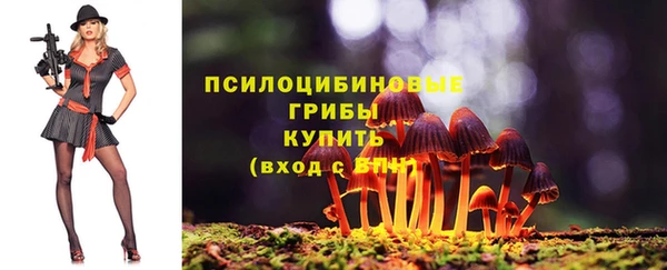 мяу мяу мука Новозыбков